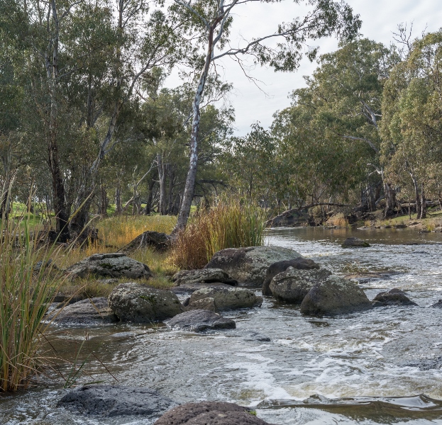 Environmental flows can be beneficial to rivers such as this one