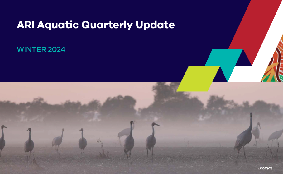 Aquatic quarterly update banner image showing brolga in a misty landscape