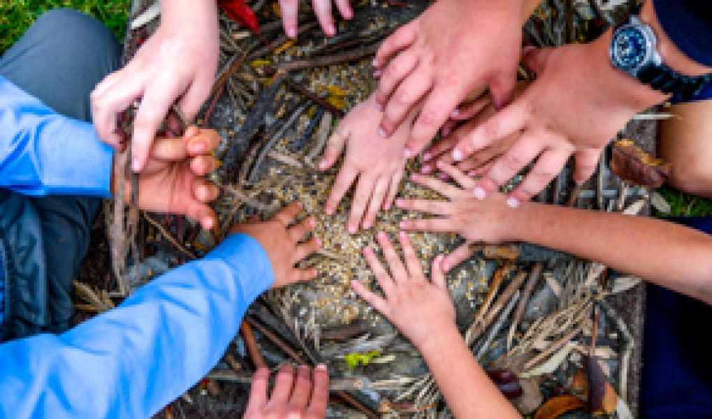 Hands in over a makeshift catfish nest