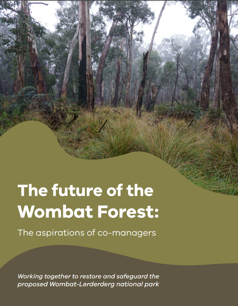 Cover - Wombat Forest Aspirations Summary