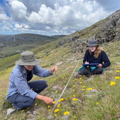 Students monitoring plants in the high country