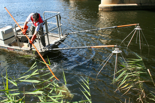 Boat electrofishing