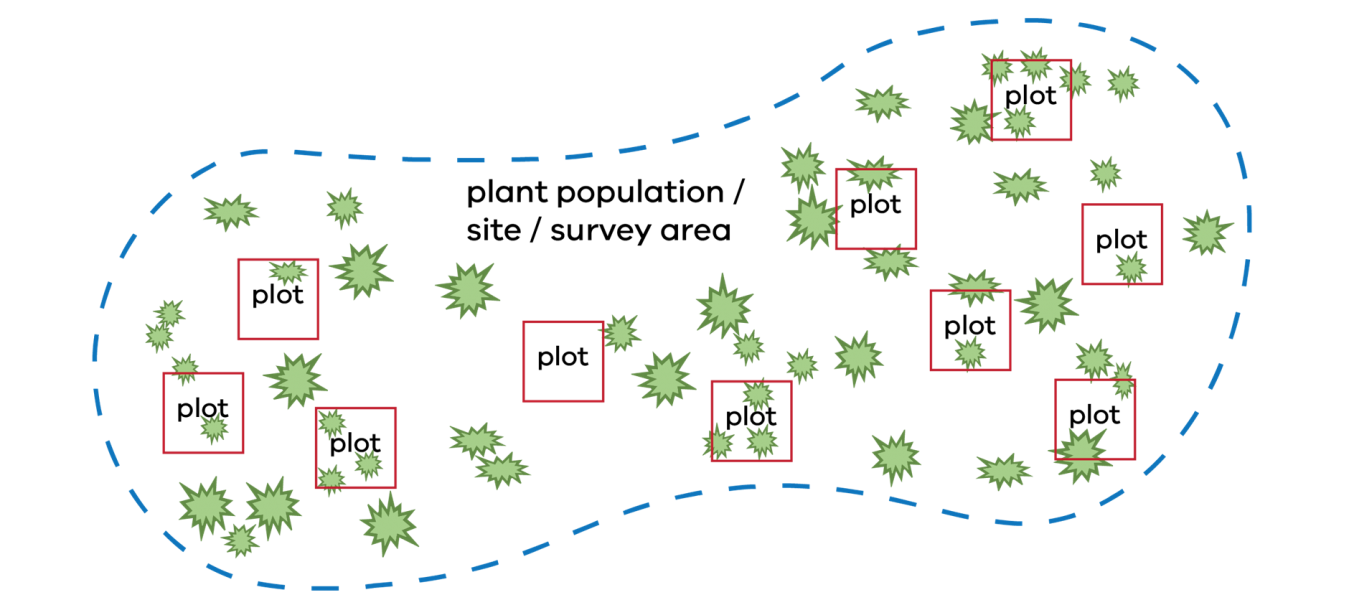 Example of surveying a plant population showing plots, survey area and plant locations