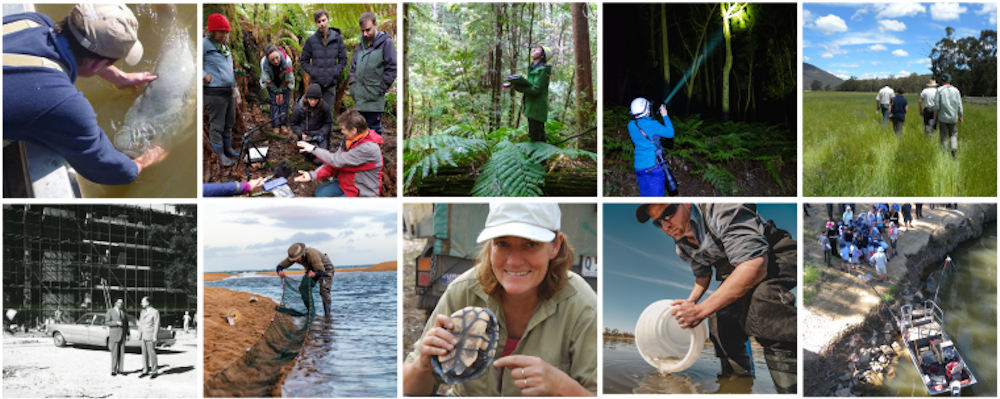 Collage of ARI scientists doing research