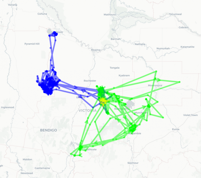 Map of brolga gps tracks in Northern Victoria